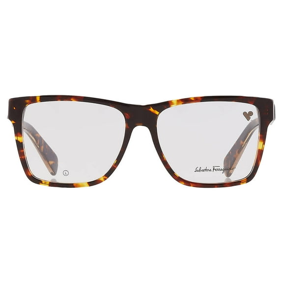 Salvatore Ferragamo Demo Square Men's Eyeglasses SF2953 219 56