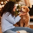thumbnail image 4 of Milk Bone Mini’s Flavor Snacks Biscuits, Holiday Dog Treats, 2.5 oz Bag, 4 of 13