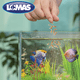 thumbnail image 3 of Lomas Snack Larva de Mosca Soldado Con Gran Contenido de Proteína para Peces Cíclicos, 3 of 3
