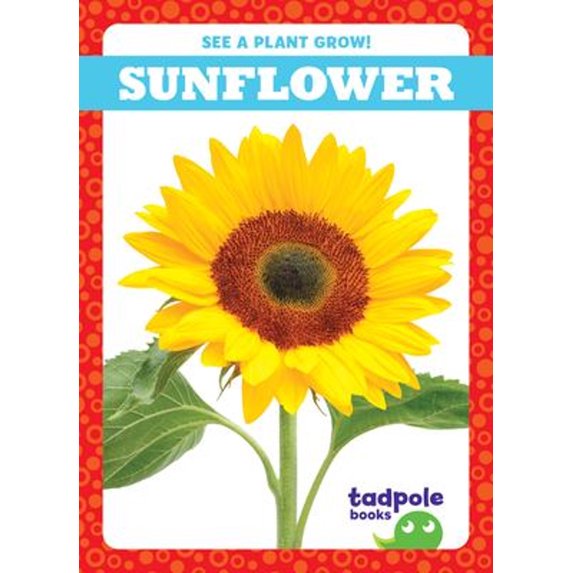 Pre-Owned Sunflower Tadpole Books: See a Plant Grow! Library Binding Charlie W. Sterling