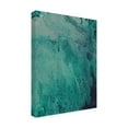 thumbnail image 2 of Trademark Fine Art 'Innate Sense I' Canvas Art by Regina Moore, 2 of 3