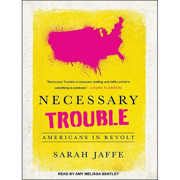Necessary Trouble: Americans in Revolt (Audiobook)
