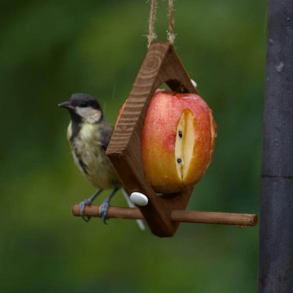 Bird Feeders,Hanging Bird Feeder,Feeding Device Fruit Fork Fruit And Vegetable Basket Stand Stand,Window Bird Feeders for Outdoors,Bird House Pole for Garden Yard Decoration