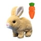 thumbnail image 3 of Toy de juguete de conejo que rebota de juguete interactivo encantador con sonidos, una mascota electrónica de conejo eléctrico para niñas y regalo de marrón, 3 of 8