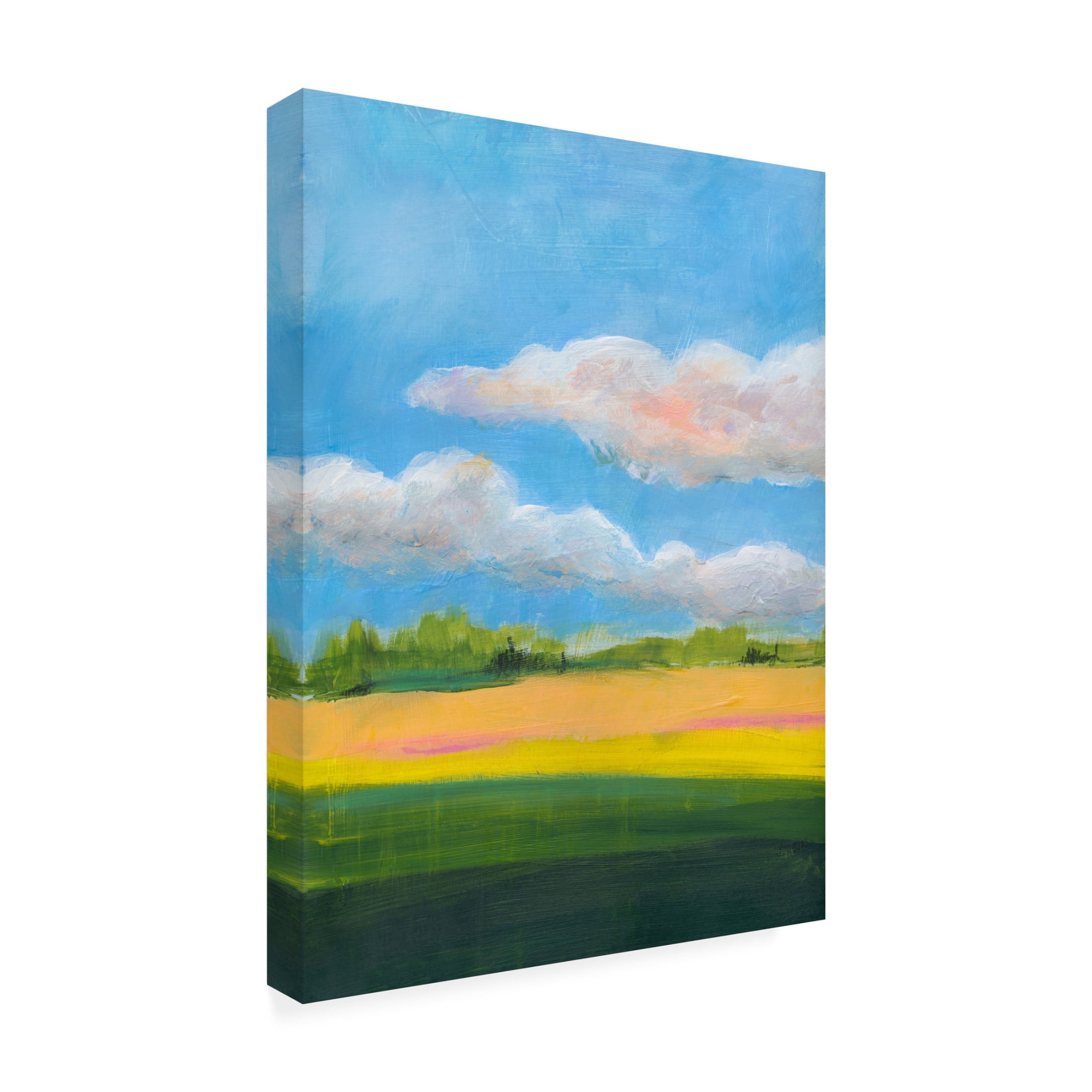 Canvas Wall Art - Jan Weiss 'Beneath a Cloudy Sky 1' Wall Art for Living Room, Bedroom, or Office Décor by Trademark Fine Art - 35 x 47 Inches