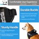 thumbnail image 5 of Arnés para perros PawPawify personalizado sin tirón con nombre y teléfono XL, 5 of 7