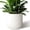 White 12 Inch, variant on 10 Inch Round Cylinder Plant Pot Modern Indoor Outdoor Planter with Drainage Hole Saucer and Water Reservoir