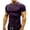 Purple, variant on WIZUTIZ Mens Workout Gym Muscle Shirts Short Sleeve Casual Basic Tee Shirt Summer Basic Lightweight Pullover Bodybuilding