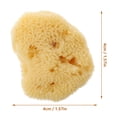thumbnail image 2 of EeaseCA Natural Sponge Art Sponge Watercolor Graffiti Texture Tool Random Shape, 2 of 8