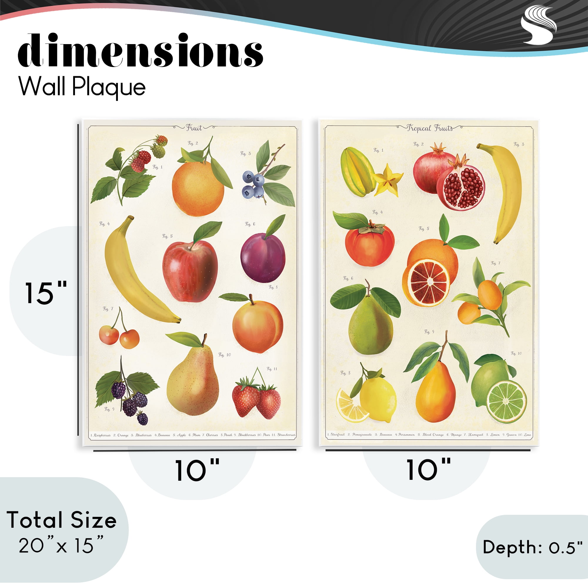 Stupell Industries Kitchen Studies Fruit 2 Piece Wall Plaque Art Set, design by Diane Neukirch