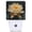 Golden Water Lily, variant on Vintage Farm Rooster Dusk to Dawn Sensor Plug-in Night Light, Soft Warm LED Auto Night Lamp for Bedroom Hall Kitchen Corridor Indoor Use
