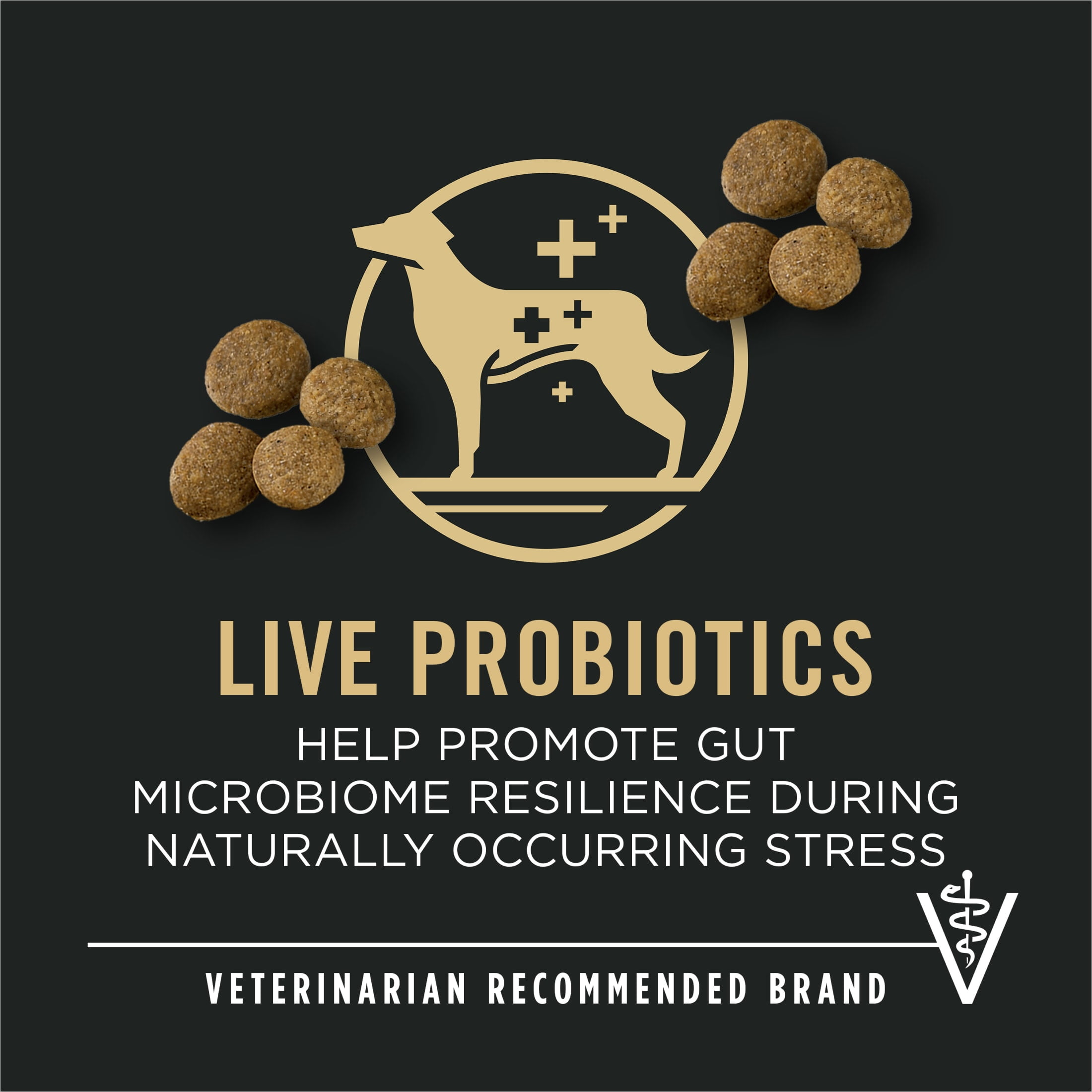 Purina Pro Plan Large Breed Dry High Protein Dog Food with Probiotics for Dogs, Beef and Rice Formula, 18 lb Bag
