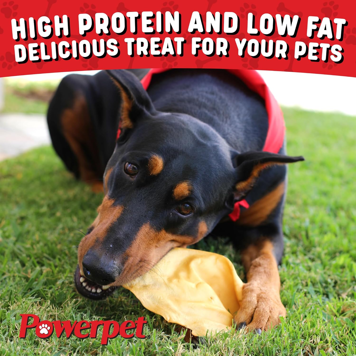 Powerpet Beef Ears, Dental Treats for Dogs - High Protein, Low Fat - 50 Pieces Bag