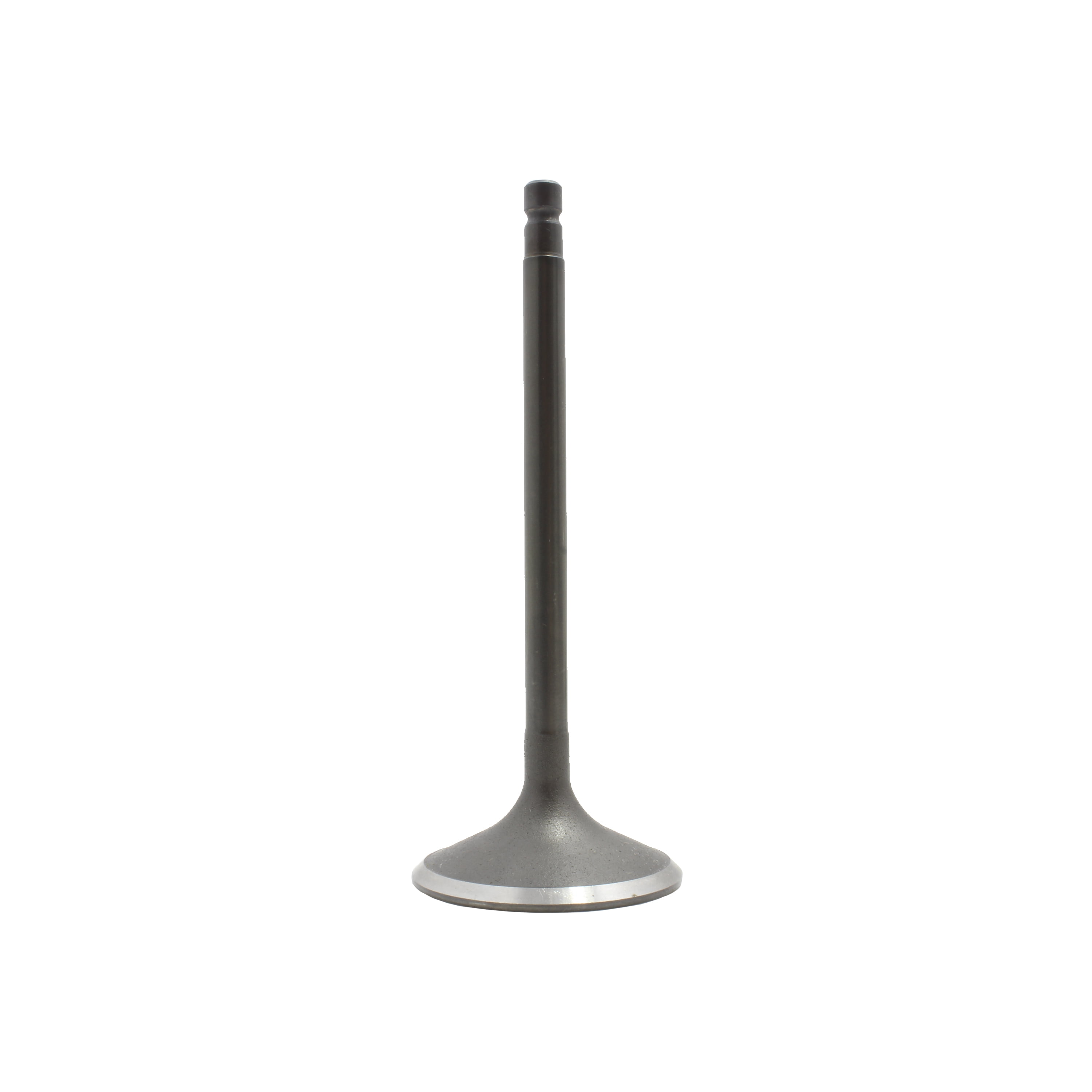 DNJ IV644 Engine Cylinder Head Valve Train Intake Valve
