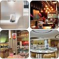 thumbnail image 3 of Eye 3D Holographic Fan LED Light Beads 360 Viewing Angle 3D Display Bluetooth WiFi Advertising, 3 of 5