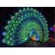 thumbnail image 3 of Luces de Navidad de bastón de caramelo 3D impermeables para exteriores con motivo de decoración led de Navidad pantalla led 2D 3D, 3 of 3