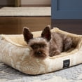 thumbnail image 4 of NICOLE MILLER NEW YORK PET Mod Damask Plushy Bolster Pet Bed, Cozy & Calming, Water Repellent, Non-Slip Bottom, 100% Machine Washable, Taupe, Small 24"x19"x7", 4 of 13