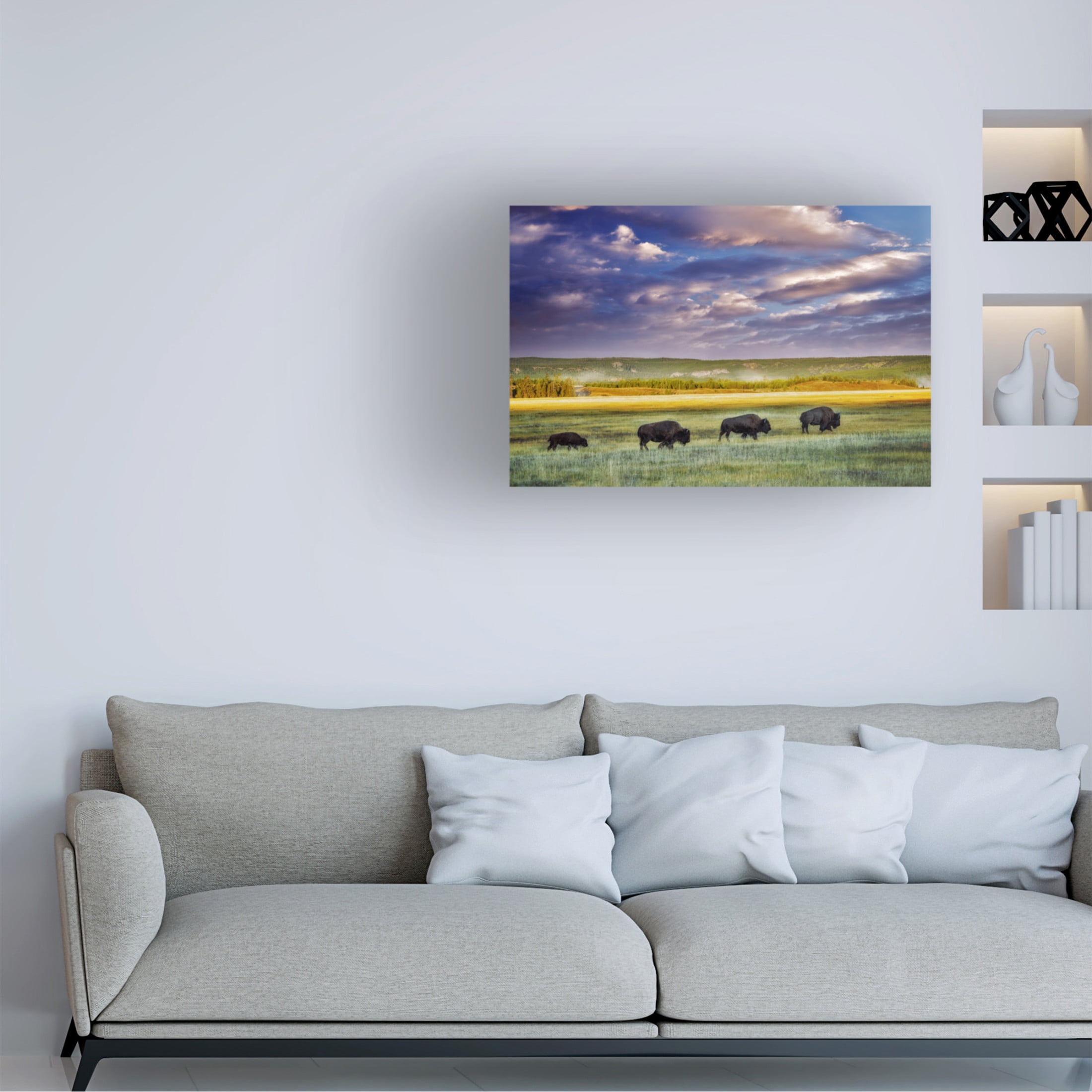 Canvas Wall Art - Dennis Frates 'Buffalo In Field' Wall Art for Living Room, Bedroom, or Office Décor by Trademark Fine Art - 47 x 30 Inches