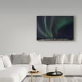 thumbnail image 3 of Trademark Fine Art 'Swirls Of Wonder' Canvas Art by Brenda Petrella Photography Llc, 3 of 3