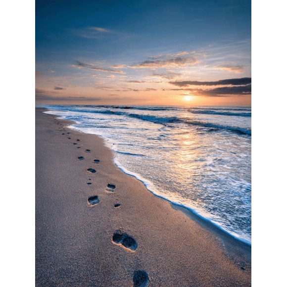 QISVANSET Footprints Beach Sunset Ocean Canvas Wall Art 15.75x11.81 INCHES