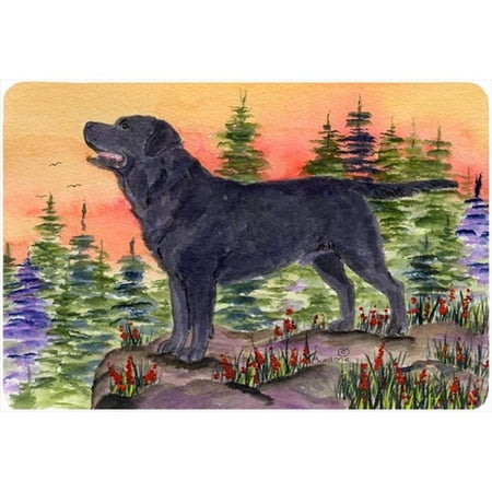 Carolines Treasures Labrador Mouse Pad Hot Pad or Trivet Large multicolor price history on PriceWatchPro