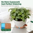 thumbnail image 2 of Self Watering Planters 8 Inch, 2-Pack White Plastic Pots with Drainage Holes & Water Reservoir for Indoor Plants, Large Houseplants | T4U, 2 of 9