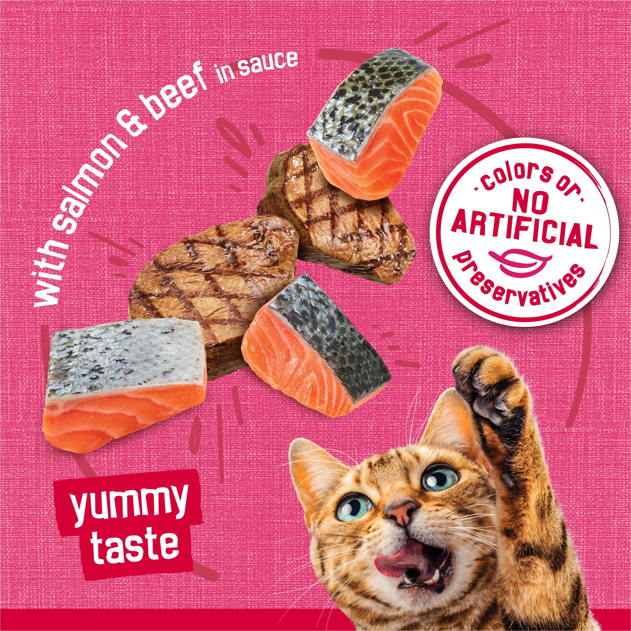 Purina Friskies Prime Filets, Salmon and Beef in Sauce, Wet Cat Food, 5.5 oz Can