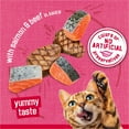 thumbnail image 4 of Purina Friskies Prime Filets, Salmon and Beef in Sauce, Wet Cat Food, 5.5 oz Can, 4 of 10