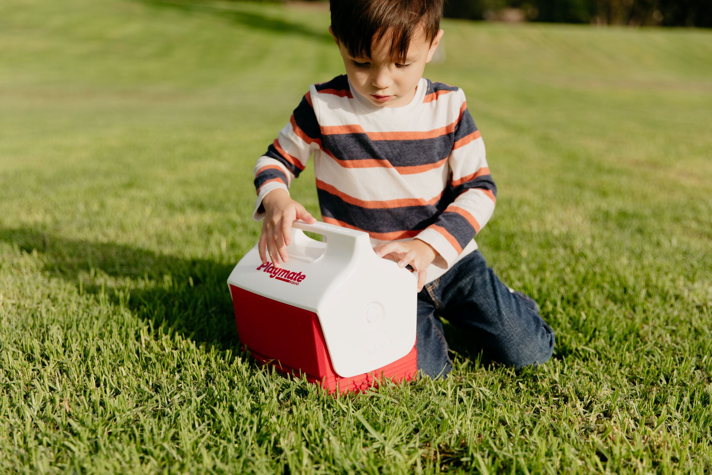 Igloo 4 Qt. Playmate Mini Personal Lunch Box Cooler - Red