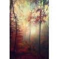 thumbnail image 2 of Wuestenhagen, Dirk 11x14 Black Ornate Wood Framed with Double Matting Museum Art Print Titled - Haze, 2 of 4