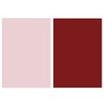 thumbnail image 1 of Fondo fotográfico doble cara 53x83cm - Serie Morandi en tonos pastel (rosa claro/rojo oscuro) - Ideal para fotografía de productos, alimentos y retratos - Material premium resistente al agua y fácil, 1 of 7