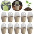 thumbnail image 6 of Yucurem 10Pcs Seedling Cup Plant Growing Cup Versatile Gardening Supplies Gardening Supplies (8cm Side Hole), 6 of 10