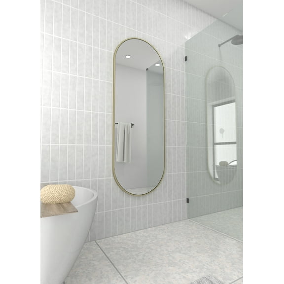 Inara 60 in. x 22 in. Pill Mirror