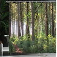 thumbnail image 4 of Ambesonne Forest Shower Curtain, Bushes and Thick Trunks, 69"Wx75"L, Green Brown, 4 of 5