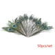 thumbnail image 1 of Hermosa pluma natural DIY joyería decoración decorativa 25-32 cm de longitud 50 Piezas Scienceny HA4712-00B, 1 of 6