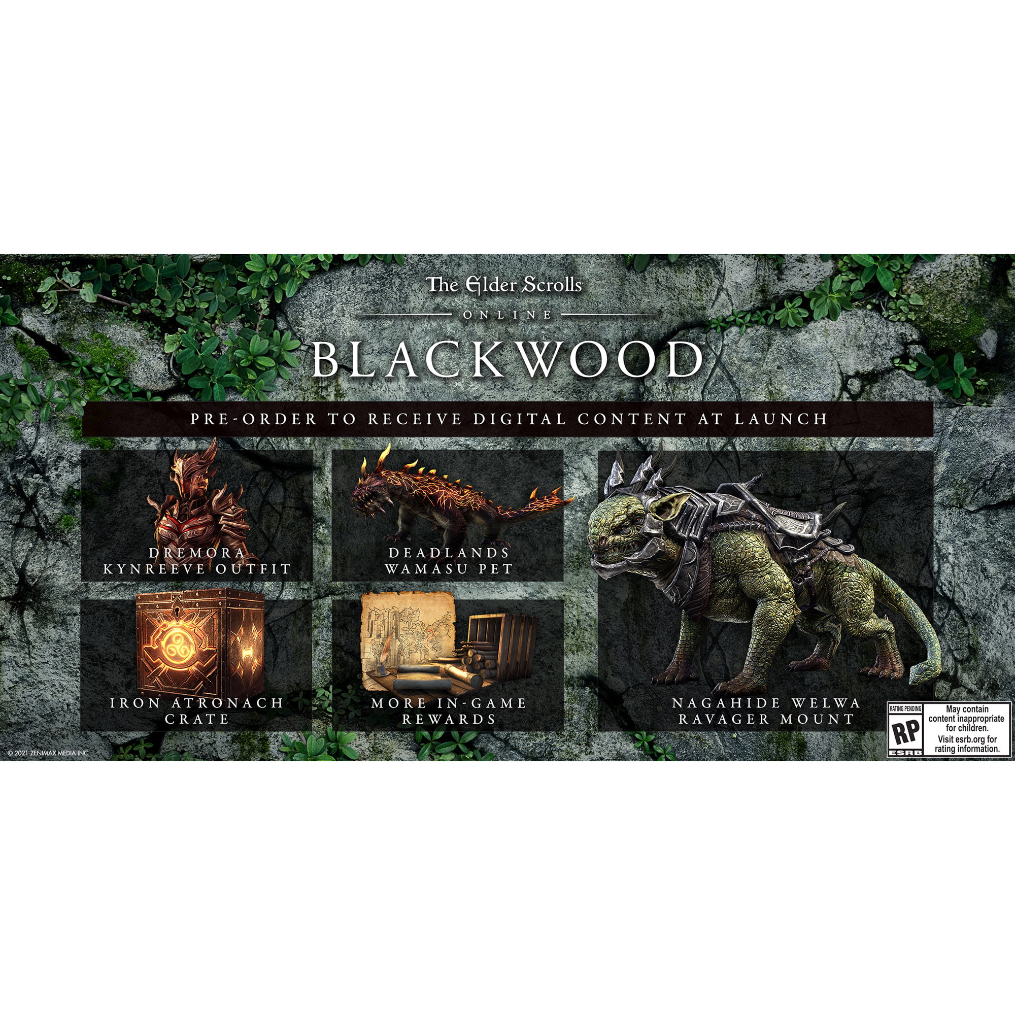 The Elder Scrolls Online: Blackwood Review