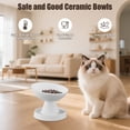thumbnail image 7 of Pawinner Ant-Proof Elevated Ceramic Cat Bowl, 15° Tilted Design Reduces Vomiting, Neck & Whisker Strain, Pet Feeder Bowl for All Life Stages, White, 7 of 7