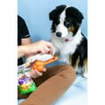 thumbnail image 3 of Nylabone Sneaky Snacker Dog Treat Toy Bacon Orange Large (1 Count), 3 of 16