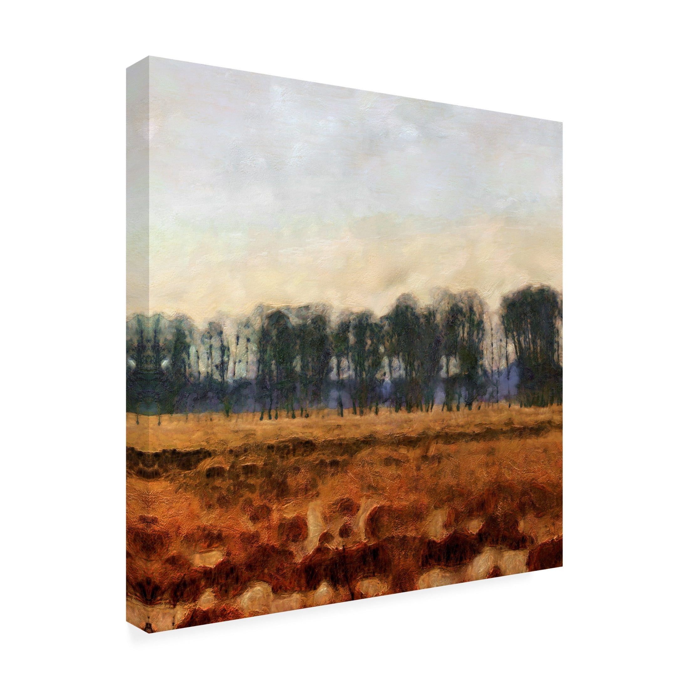 Trademark Fine Art Alonzo Saunders Tranquil Gathering II Canvas Wall Art
