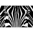 thumbnail image 1 of Black And White Wall Mural - 45 in., 1 of 1