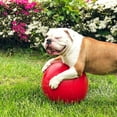 thumbnail image 4 of Jolly Pets Push-N-Play Ball Red 10 inch Hard Plastic Chew Toy for Dogs, 4 of 7