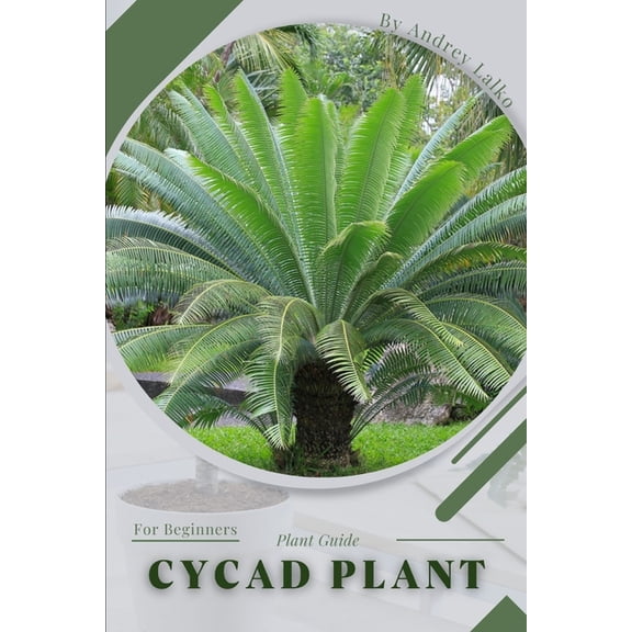 Cycad Plant: Plant Guide (Paperback)