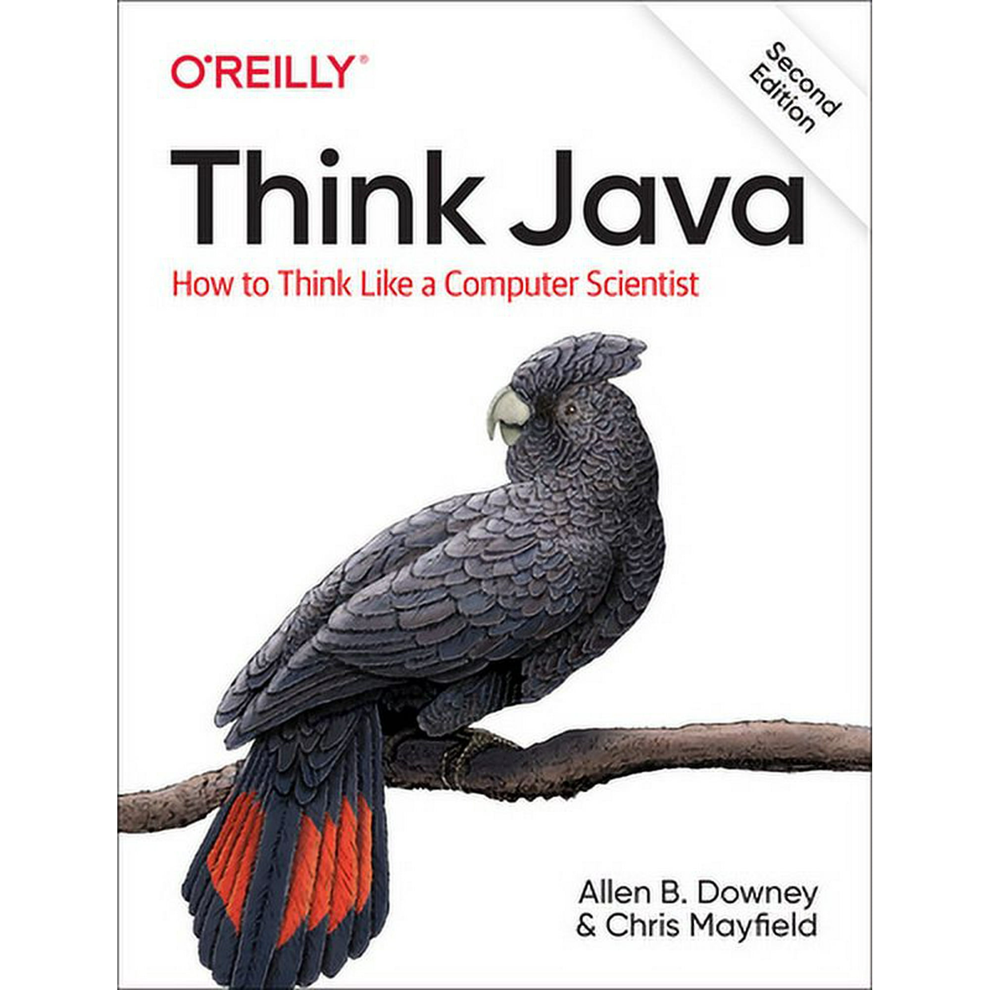 Think Java: How to Think Like a Computer Scientist (Paperback)