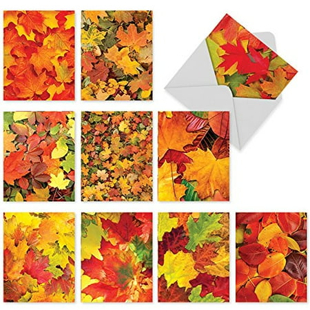 Assorted Leaves - 'M2009 LEAF A MESSAGE' 10 Assorted All Occasions Note Cards Feature a Pile of Autumn Colors with Envelopes by The Best Card Company