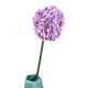 thumbnail image 1 of Ramo de flores de simulación de flor de bola de cebolla artificial para decoración del hogar (púrpura), 1 of 2