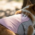 thumbnail image 4 of Cooling vest suitable for small to very large dogs - adjustable cooling jacket with reflective tape（Pink,2XL）, 4 of 6