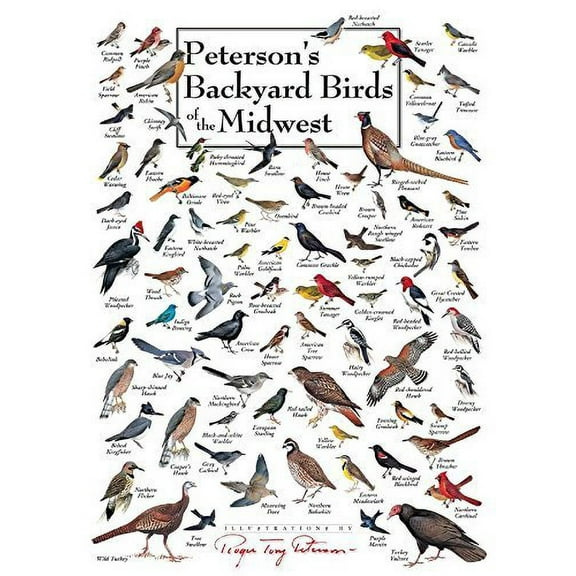 Heritage Puzzle Inc. Backyard Birds of the Midwest Jigsaw Puzzle (550-Piece)