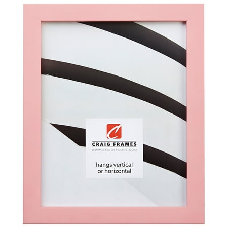 24 X 30 Black Wood - Craig Frames Confetti, 24 x 30 Inch Picture Frame, Light Pastel Pink