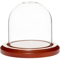 Plymor 3" x 3" Glass Display Dome Cloche (Walnut Base)