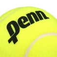 Penn 4" Tennis Ball